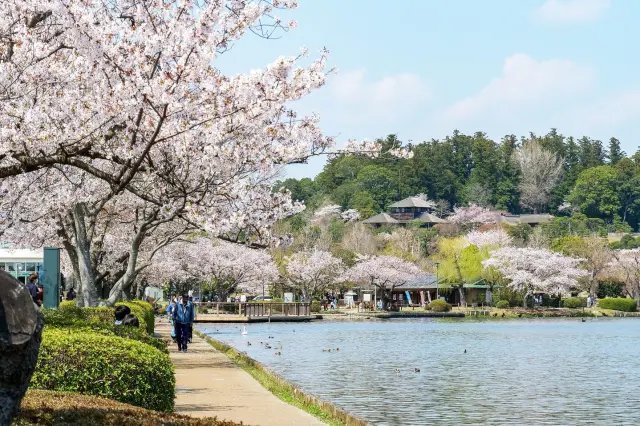 🏞️ 센바 공원 이미지 9